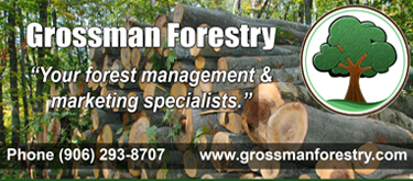 Grossman Forestry