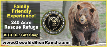 Oswalds Bear Ranch